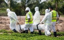 করোনায় মৃত্যু ১শ’র নিচে নামল