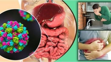 নতুন আতঙ্ক নরোভাইরাস, শিশুদের জন্য বিপজ্জনক