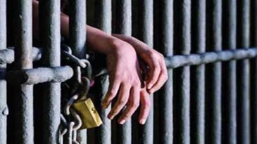 তালেবানের কাবুল দখল, মুক্তি পেলেন ৩ বাংলাদেশি