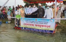 সিলেট সদর উপজেলায় মাছের পোনা অবমুক্ত করলেন বিভাগীয় কমিশনার