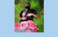 জৈন্তাপুরে মাছ ধরতে গিয়ে ‘সাপের কামড়ে’ যুবকের মৃত্যু