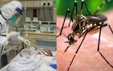 ডেঙ্গি সংক্রমণে স্বাস্থ্য ব্যবস্থার ওপর বাড়তি চাপ