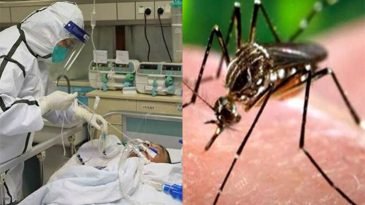 ডেঙ্গি সংক্রমণে স্বাস্থ্য ব্যবস্থার ওপর বাড়তি চাপ