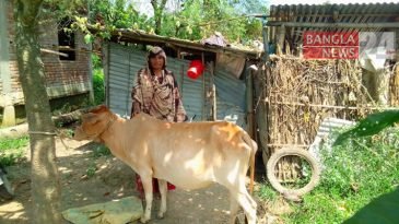 বাড়িতে থেকেই সংশোধনের সুযোগ পাচ্ছে অপরাধীরা