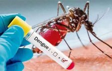 ৩১৫ জন নতুন ডেঙ্গু রোগী হাসপাতালে ভর্তি, শিশুরাই বেশি