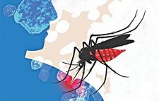 ৩১৯ জন নতুন ডেঙ্গু রোগী হাসপাতালে ভর্তি