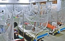 সেপ্টেম্বরের ১৪ দিনে ৪১৫৩ জন ডেঙ্গু রোগী হাসপাতালে ভর্তি