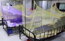 সেপ্টেম্বরে ৭৮৪১ জন ডেঙ্গু রোগী হাসপাতালে ভর্তি