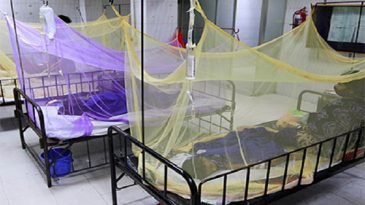 সেপ্টেম্বরে ৭৮৪১ জন ডেঙ্গু রোগী হাসপাতালে ভর্তি