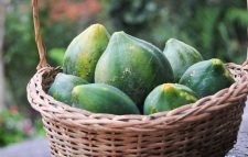 পেঁপে খেলে যাদের বিপদ হতে পারে