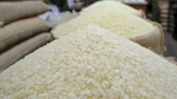 পাচারের সময় ভিজিডির ৮৪ বস্তা চাল জব্দ