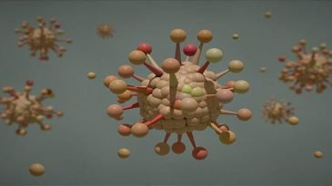 করোনা ফের ভয়ঙ্কর রূপ নিচ্ছে আমেরিকায়