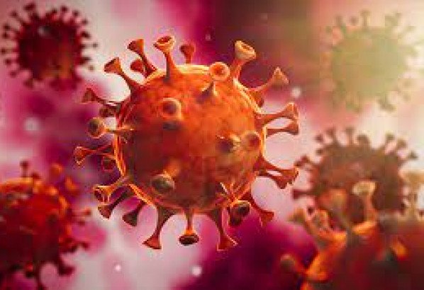 ২৪ ঘন্টায় সিলেটে ১ জনের মৃত্যু