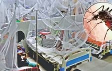 ডেঙ্গু আক্রান্ত আরও ১১২ জন হাসপাতালে