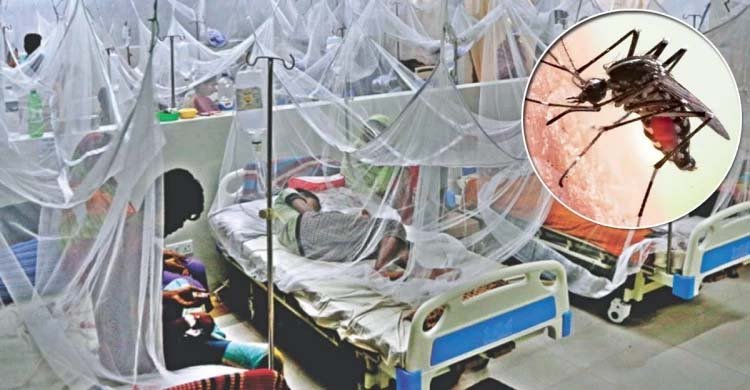 ডেঙ্গু আক্রান্ত আরও ১১২ জন হাসপাতালে
