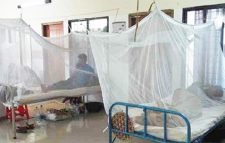 ১৬৫ জন নতুন ডেঙ্গু রোগী হাসপাতালে ভর্তি