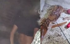 তেজগাঁওয়ে ভবনে বিস্ফোরণ, দুই শিক্ষার্থী দগ্ধ