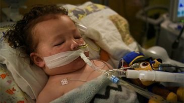 দুই বছরের জেমস এর জন্য কাঁদছে নেটিজেনরা