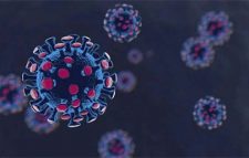 করোনায় আরও ১৪ জনের মৃত্যু