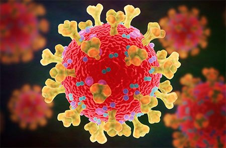 রামেক হাসপাতালে আরও ৮ জনের মৃত্যু