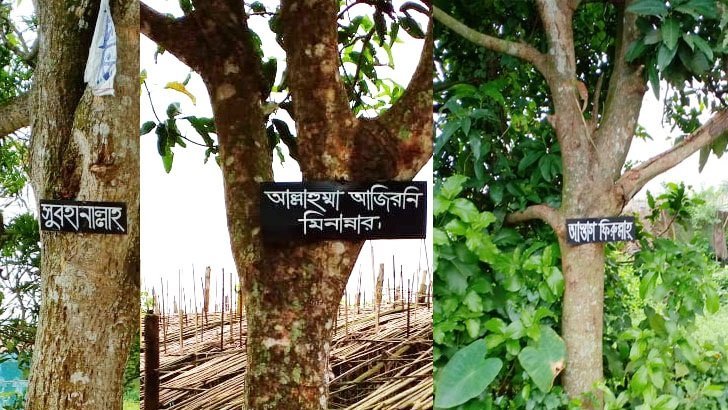 গাছে পেরেক দিয়ে দোয়া লাগানো কি জায়েজ?