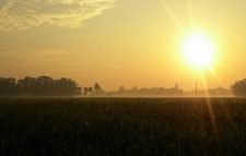 দুই-একদিনের মধ্যেই কমবে গরম