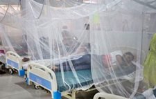 ১৩৮জন নতুন ডেঙ্গু রোগী হাসপাতালে ভর্তি, এ পর্যন্ত মৃত্যু ৯৫