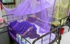৭৫ জন নতুন ডেঙ্গু রোগী হাসপাতালে ভর্তি