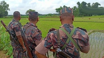 সীমান্তে বিএসএফের গুলিতে ২ বাংলাদেশি নিহত