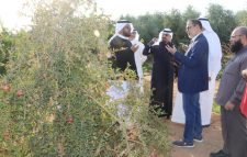 সৌদিতে কৃষি কাজ পরিদর্শন করলেন রাষ্ট্রদূত