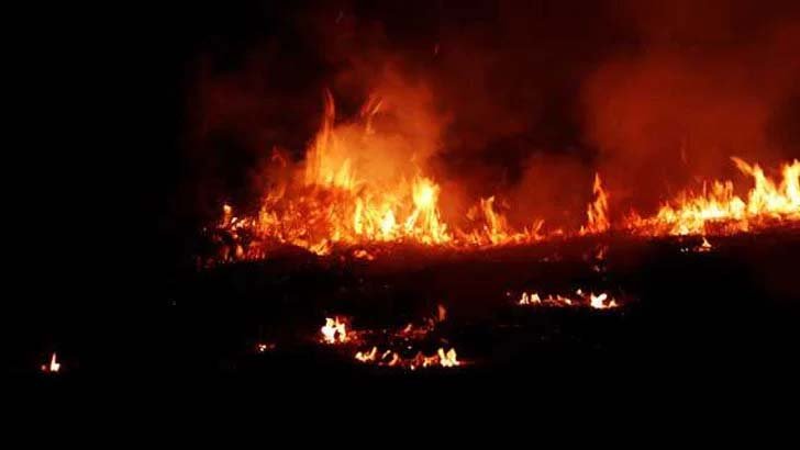 হালিশহরে গোডাউন বাজারে ভয়াবহ আগুন