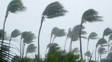 ঘূর্ণিঝড় ‘জাওয়াদ’ শক্তি হারিয়ে গভীর নিম্নচাপের পরিনত