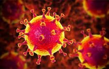 করোনায় আরও ৭ জনের মৃত্যু, শনাক্ত ৩৪৪৭