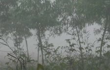 সারা দেশে গুঁড়ি গুঁড়ি বৃষ্টির আভাস, বাড়বে শীত