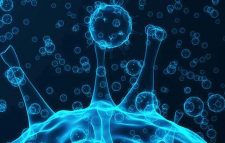 করোনায় আরও ৯ জনের মৃত্যু