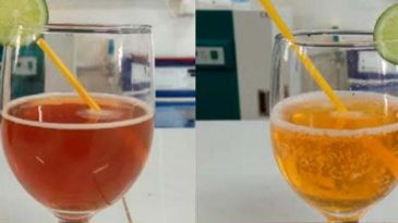 চা থেকে টি-কোলা: শাবিপ্রবি গবেষকদের উদ্ভাবন