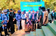 লাউয়াছড়ায় সচেতনতামূলক কর্মসূচির মধ্যদিয়ে বিশ্ব বন্যপ্রাণি দিবস পালিত