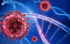 টানা চার দিন মৃত্যু শূন্য, শনাক্ত ৪৩