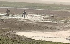 হাকালুকি হাওরের অভয়াশ্রম ও ইজারাকৃত মৎস্য বিল শুকিয়ে মাছ আহরণ