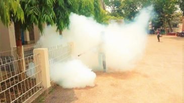 শহরে মশক নিধন কার্যক্রম শুরু