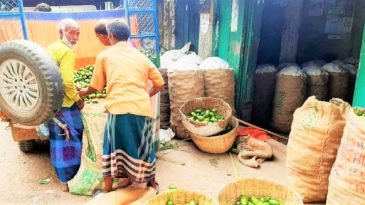 লেবুর চাহিদা বেশি, দামও বাড়তি
