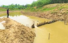 নদীতে অবৈধ বাঁশের বেড়া ও নিষিদ্ধ কারেন্ট জাল দিয়ে মৎস্য নিধন