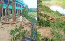 নিয়মবর্হিভূর্ত ভাবে প্রাথমিক বিদ্যালয়ের গাছ বিক্রি করে দিলেন প্রধান শিক্ষক