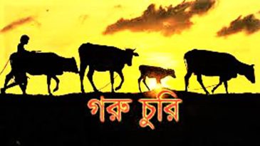 পুলিশের গোয়ালঘর থেকে ৩টি গরু চোরি