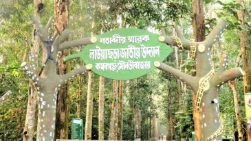  গাড়ির চাকায় পিষ্ট হয়ে বানর ও সাপের মৃত্যু