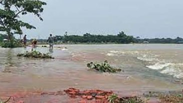বন্যায় সিলেটে কৃষিখাতেই ক্ষতি ৩৪ কোটি টাকা