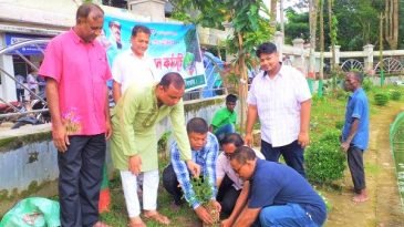 পৌরসভার উদ্যোগে ৩ মাসব্যাপী বৃক্ষরোপন কর্মসূচির উদ্বোধন