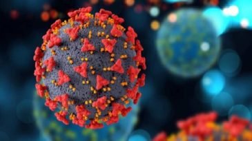 করোনা শনাক্তের সংখ্যা ও হার বাড়ছে