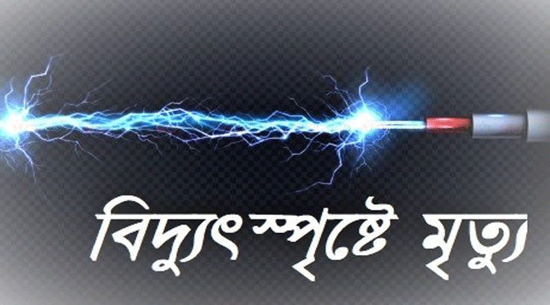 বিদ্যুৎস্পৃষ্ট হয়ে এক কৃষকের মৃত্যু