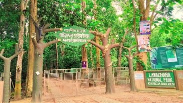 ঈদুল আযহার টানা ছুটিতে পর্যটকদের বরণে প্রস্তুত কমলগঞ্জের পর্যটন কেন্দ্র সমুহ